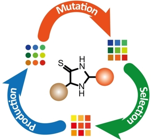 Dynamic Exchange of Substituents in a Prebiotic Organocatalyst: Initial Steps towards an Evolutionary System