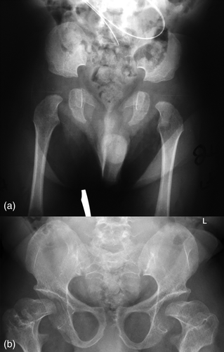 Details are in the caption following the image