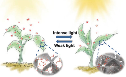 A Microstructured Graphene/Poly(N-isopropylacrylamide) Membrane for Intelligent Solar Water Evaporation