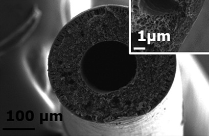 Comparison of Flat and Hollow-Fiber Mixed-Matrix Composite Membranes for CO2 Separation with Temperature