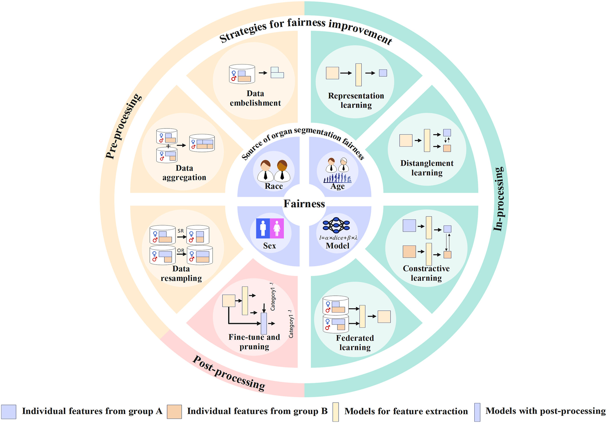 Fairness in artificial intelligence-driven multi-organ image segmentation