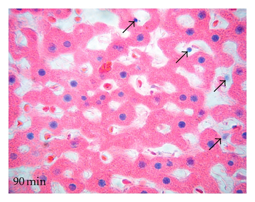Details are in the caption following the image Details are in the caption following the image