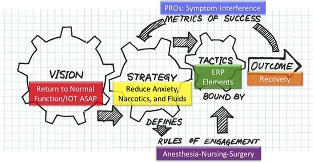 ERAS—Anticipated outcomes and realistic goals