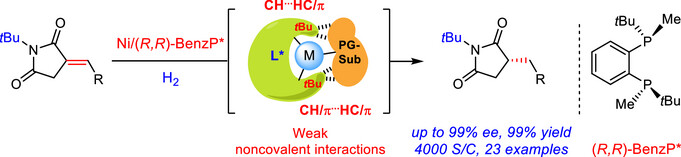 Enantioselective Nickel-Catalyzed Hydrogenation of α-Alkylidene Succinimides Enabled by Weak Noncovalent Interactions