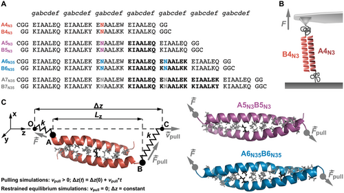 Details are in the caption following the image Details are in the caption following the image