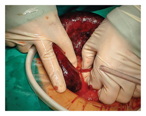Details are in the caption following the image Details are in the caption following the image