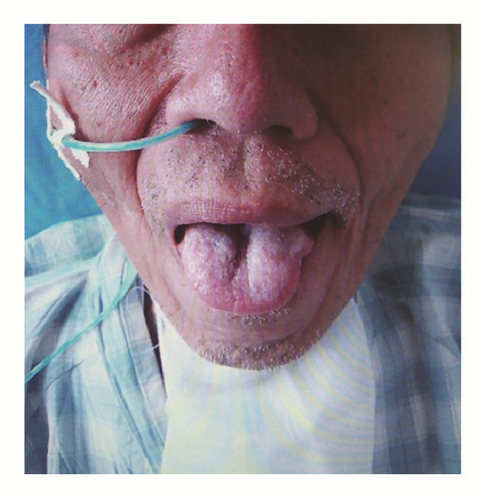Details are in the caption following the image Details are in the caption following the image