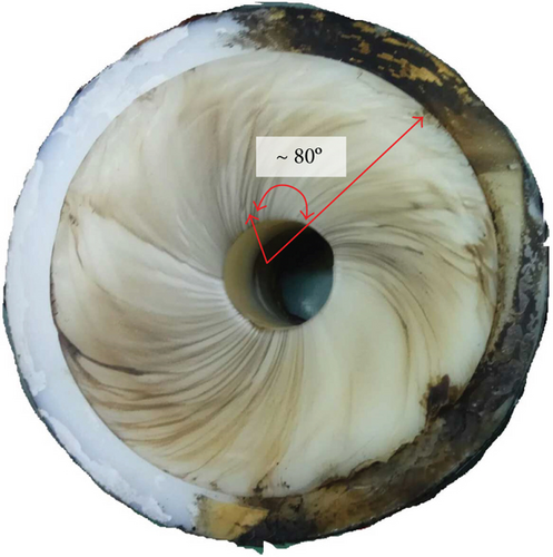 Details are in the caption following the image