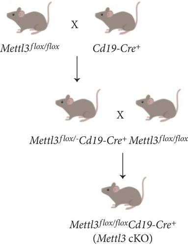 Details are in the caption following the image