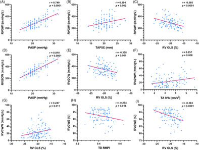 Correlations among noninvasive right ventricular myocardial work indices and the main parameters of systolic and diastolic functions