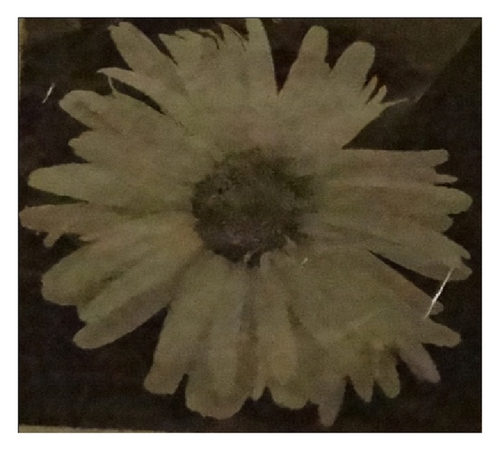 Details are in the caption following the image