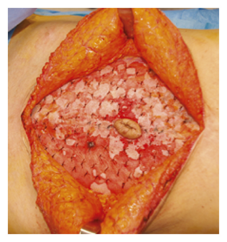Details are in the caption following the image Details are in the caption following the image
