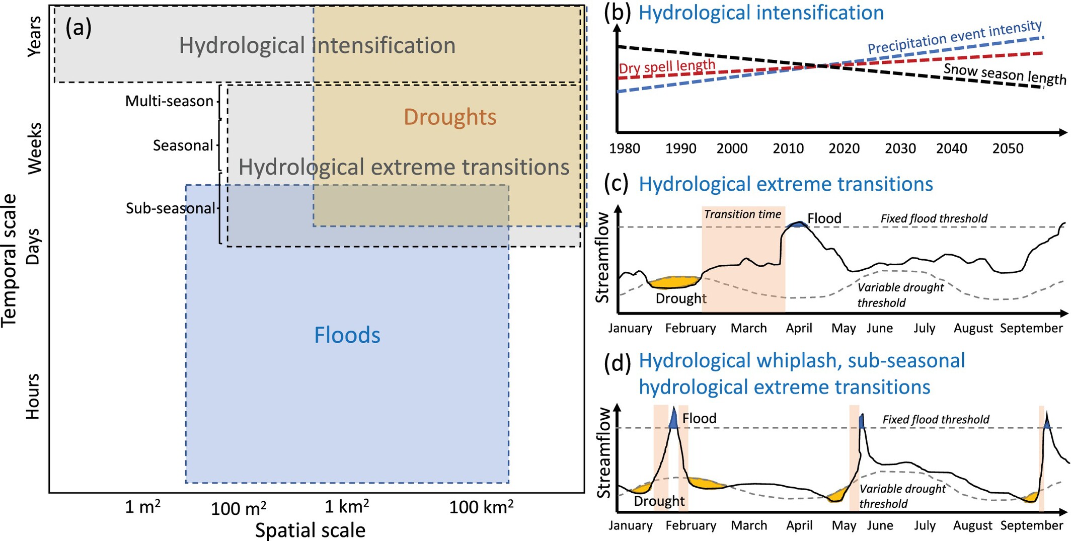 Hydrological Whiplash: Highlighting the Need for Better Understanding and Quantification of Sub-Seasonal Hydrological Extreme Transitions