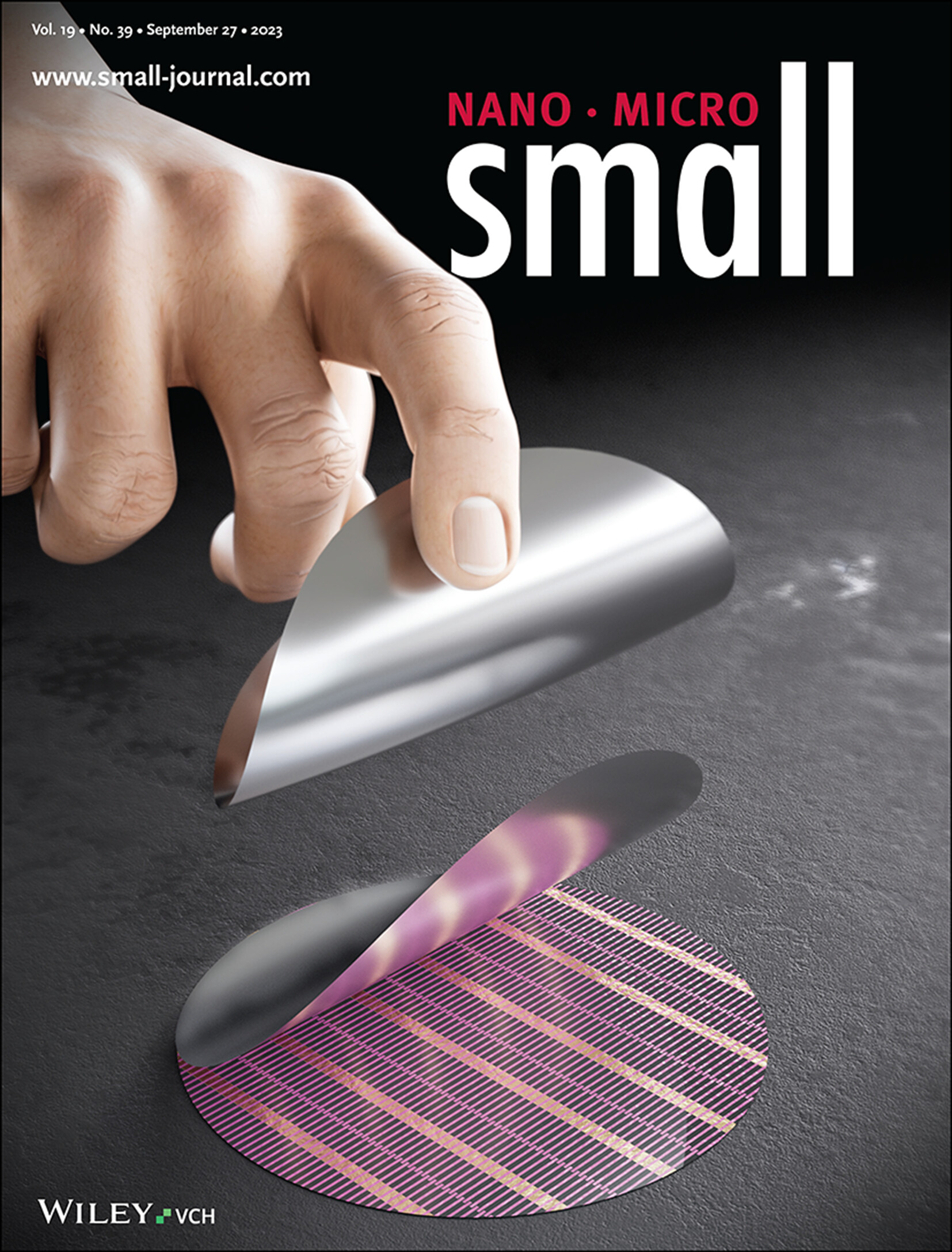 Ultrathin Crystalline Silicon Nano and Micro Membranes with High Areal Density for Low-Cost Flexible Electronics (Small 39/2023) Volume 19 Issue 39, 2023