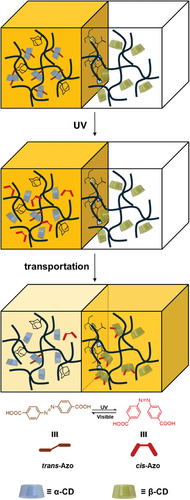 Details are in the caption following the image Details are in the caption following the image