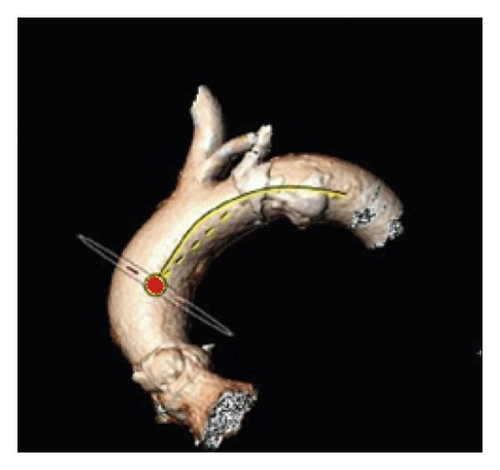 Details are in the caption following the image Details are in the caption following the image