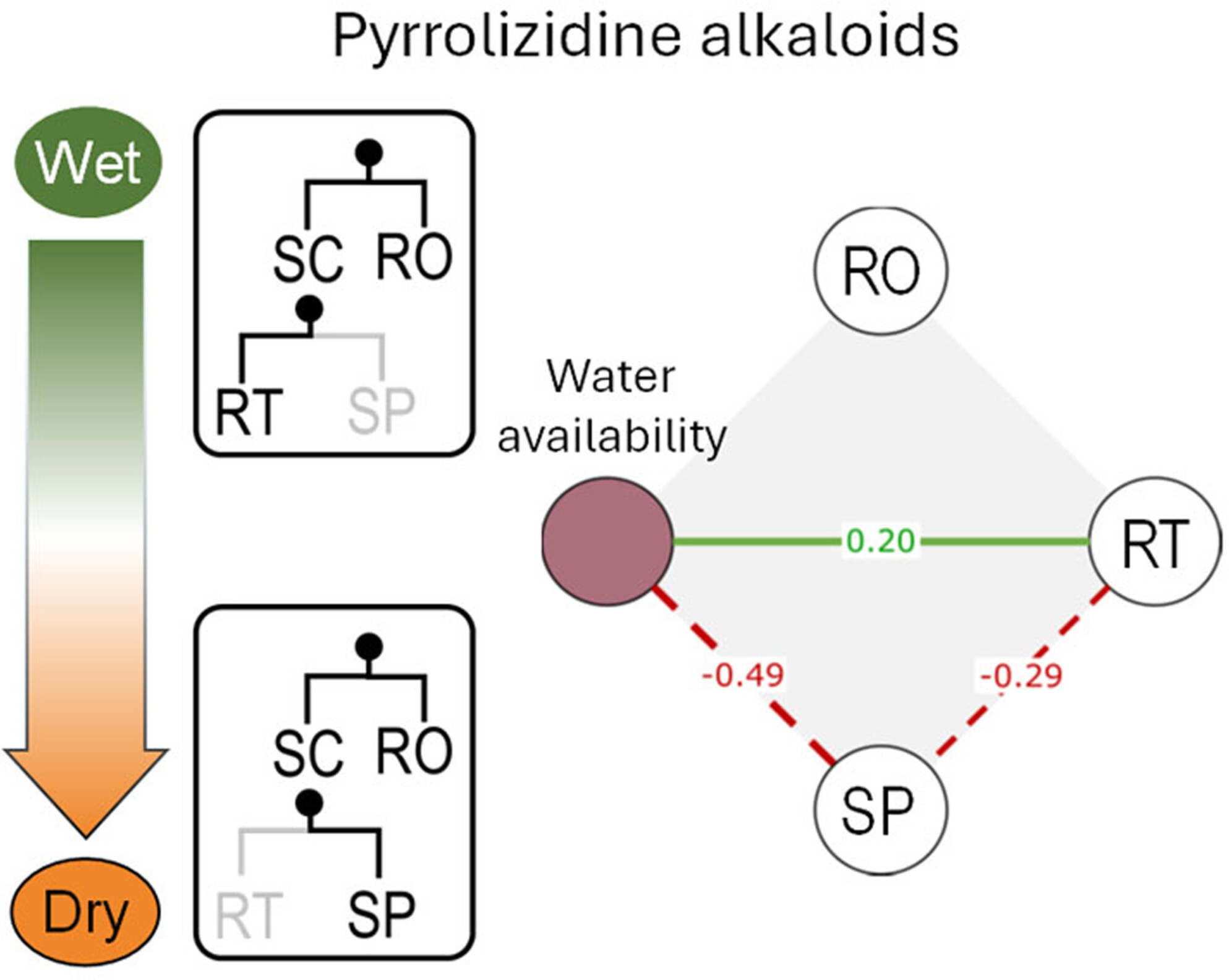 The influence of aridity on plant intraspecific chemical diversity supports adaptive differentiation and convergent evolution