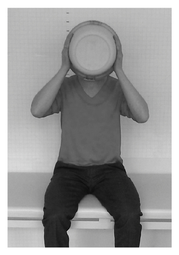 Details are in the caption following the image Details are in the caption following the image