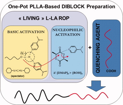 4-dimethylaminopyridine-based organoactivation: From simple esterification to lactide ring-opening “Living” polymerization