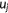 urn:x-wiley:10597794:media:humu23857:humu23857-math-0014