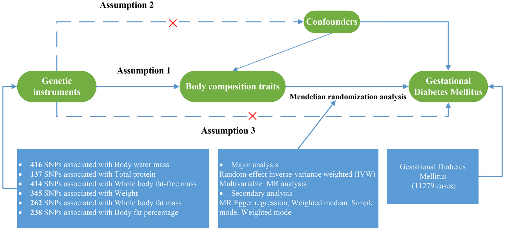 Body composition and risk of gestational diabetes mellitus: A univariable and multivariable Mendelian randomization study