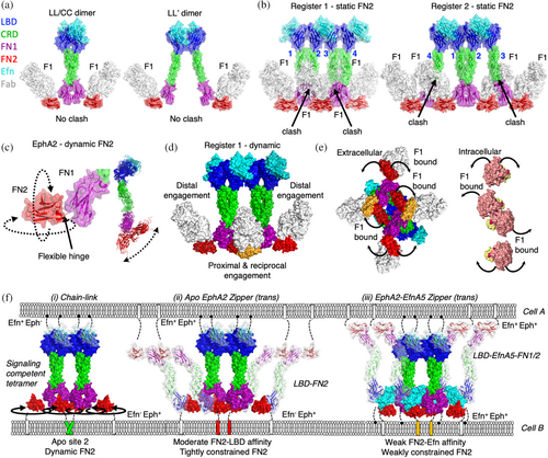 Details are in the caption following the image Details are in the caption following the image