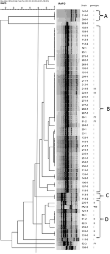 Details are in the caption following the image Details are in the caption following the image