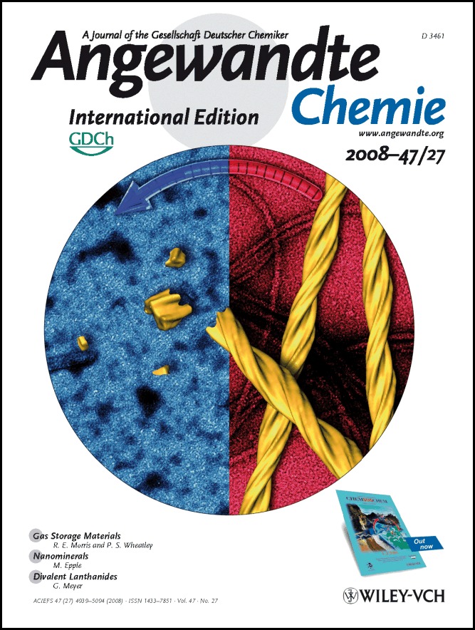 Cover Picture: Dissociation of Amyloid Fibrils of α-Synuclein in Supercooled Water (Angew. Chem. Int. Ed. 27/2008)