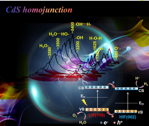 Regulation of d-Band Centers in Localized CdS Homojunctions through Facet Control for Improved Photocatalytic Water Splitting
