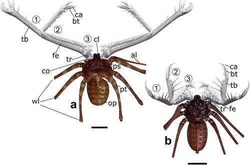 Details are in the caption following the image Details are in the caption following the image