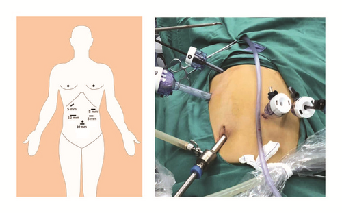 Details are in the caption following the image Details are in the caption following the image
