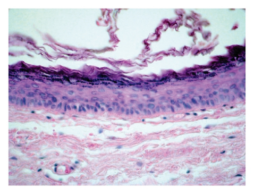 Details are in the caption following the image Details are in the caption following the image