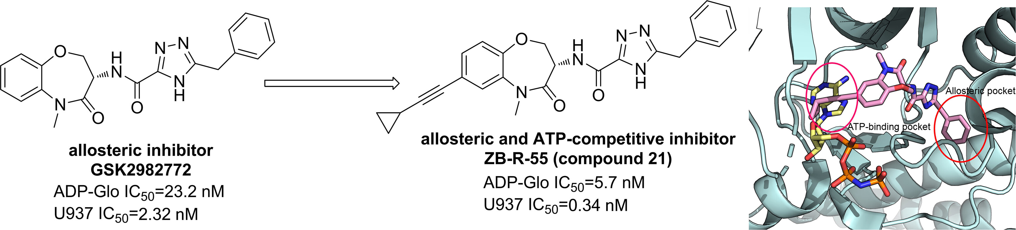 Potent and Selective RIPK1 Inhibitors Targeting Dual-Pockets for the Treatment of Systemic Inflammatory Response Syndrome and Sepsis