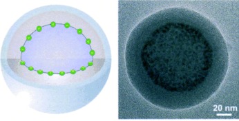 Interfacial Assembly of Nanoparticles in Discrete Block-Copolymer Aggregates