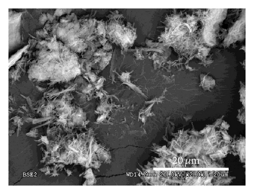 Details are in the caption following the image
