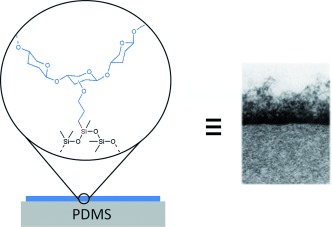 Facile and Efficient Control of Bioadhesion on Poly(dimethylsiloxane) by Using a Biomimetic Approach
