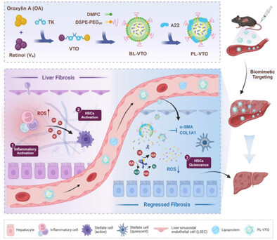 Engineered Intelligent Microenvironment Responsive Prodrug Conjugates Navigated by Bioinspired Lipoproteins for Reversing Liver Fibrosis