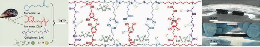 Mussel-Inspired, Underwater Self-Healing Ionoelastomers Based on α-Lipoic Acid for Iontronics