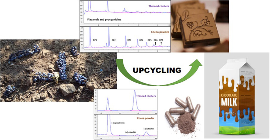 Upcycling flavanol-rich Chardonnay and Pinot noir grape thinned clusters as potentially functional food ingredients in cocoa-based products
