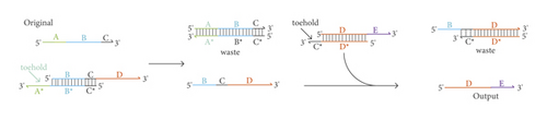 Details are in the caption following the image Details are in the caption following the image