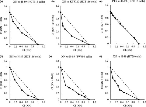 Protein kinase A inhibition facilitates the antitumor activity of xanthohumol, a valosin-containing protein inhibitor