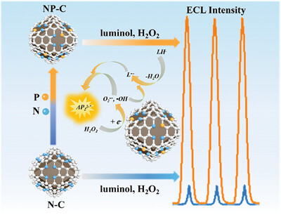 Electrochemiluminescence Reveals the Structure-Catalytic Activity Relationship of Heteroatom-Doped Carbon-Based Materials