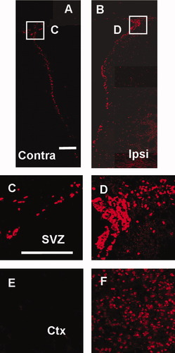 Details are in the caption following the image