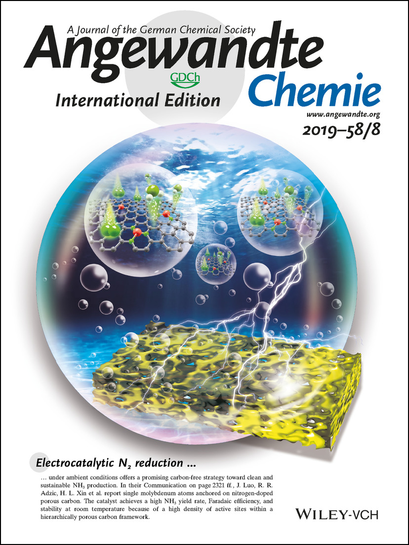 Inside Back Cover: Atomically Dispersed Molybdenum Catalysts for Efficient Ambient Nitrogen Fixation (Angew. Chem. Int. Ed. 8/2019) Volume 58 Issue 8, 2019