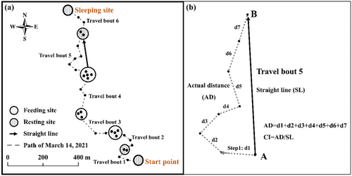 Details are in the caption following the image Details are in the caption following the image