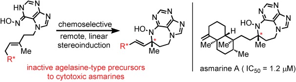 Nitrosopurines En Route to Potently Cytotoxic Asmarines