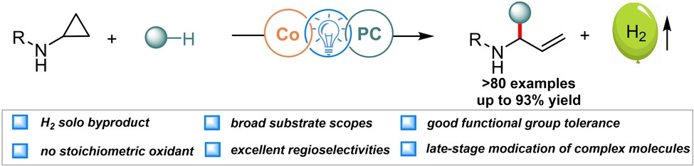 Cooperative Photoredox and Cobalt-Catalyzed Acceptorless Dehydrogenative Functionalization of Cyclopropylamides towards Allylic N,O-Acyl-acetal Derivatives