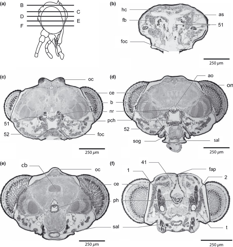 Details are in the caption following the image Details are in the caption following the image