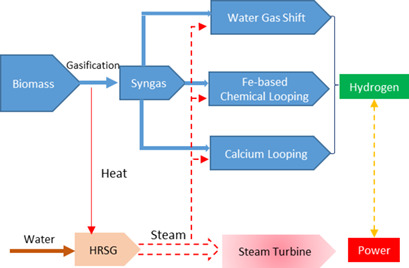 Biomass Gasification Integrated with Chemical Looping System for Hydrogen and Power. Coproduction Process – Thermodynamic and Techno-Economic Assessment