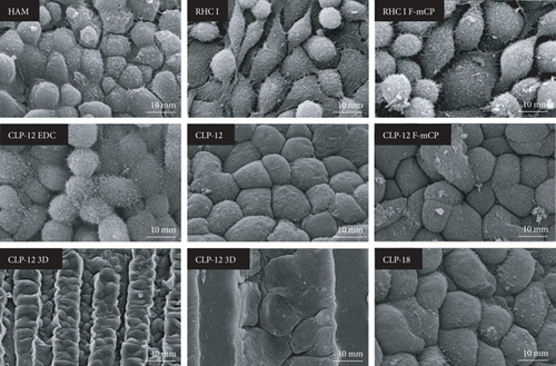 Details are in the caption following the image Details are in the caption following the image